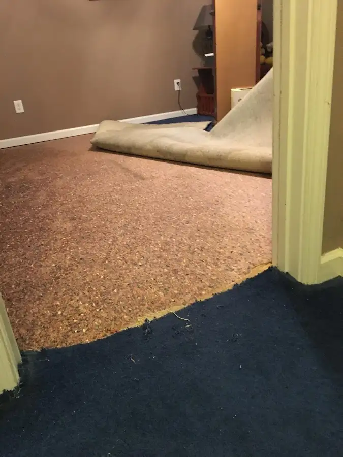 Carpet pad removal revealing water damage during Drying & Dehumidification in Mamaroneck