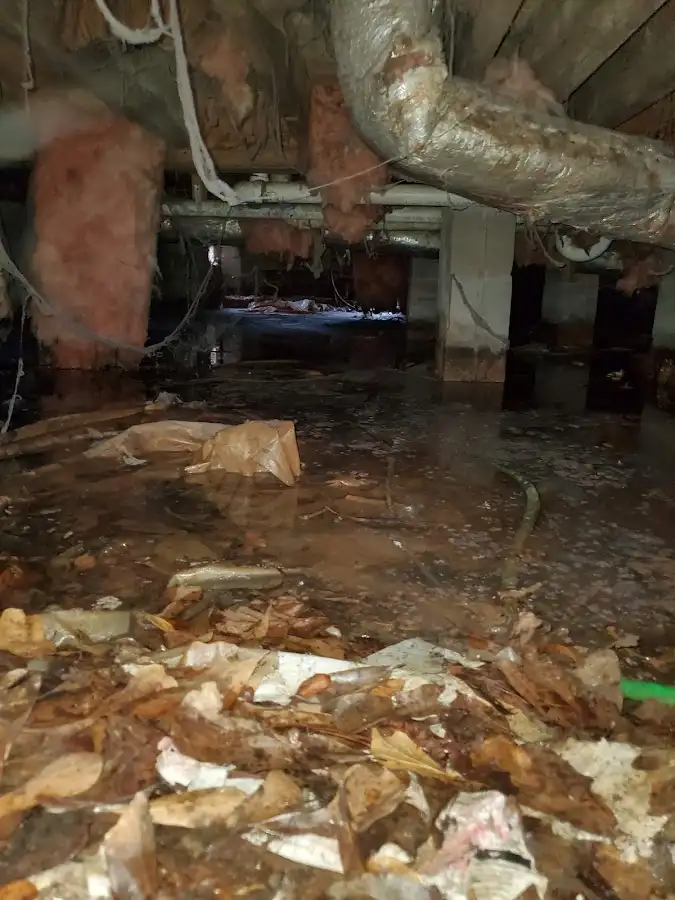 Crawl space flood assessment for Leak Detection & Repair in Mamaroneck